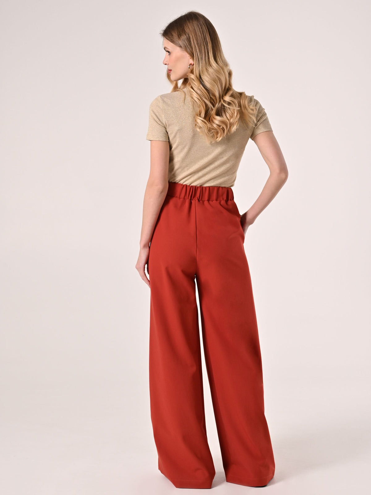 Pantaloni con Pinces color Coccio